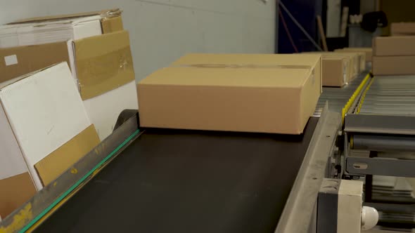 Cardboard boxes on conveyor belt in distribution warehouse