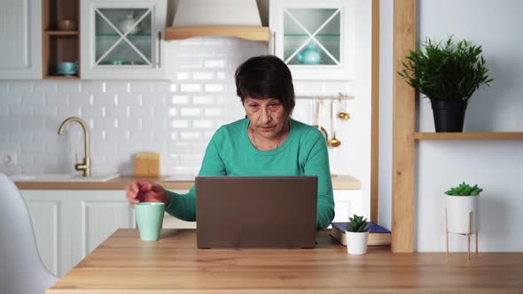 Elderly Focused Woman Remotely Working on Laptop at Home