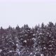Aerial Footage of the Winter Forest - VideoHive Item for Sale