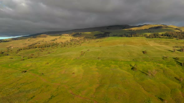 Beautiful amazing 4k drone Maui upcountry on highway 31 looking towards Haleakala Mountain. February