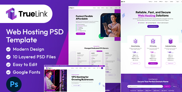 TrueLink - Web Hosting PSD Template