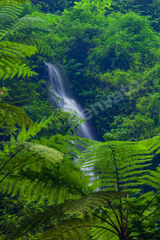 Madakaripura  Waterfall, East Java, Indonesia