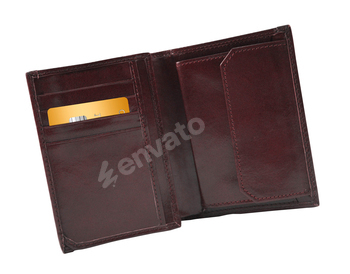 Open wallet with golden card