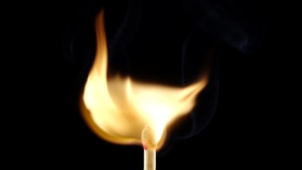 Matchstick Lighting and Burning Till the End on Black Background. Slow Motion