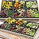 Vegetable Rack - 3DOcean Item for Sale