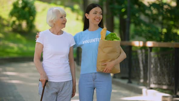 Social Volunteer Holding Grocery Bag Supporting Aged Woman With Walking Stick