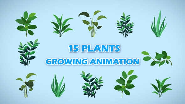 15 Growing Plants Animation Pack