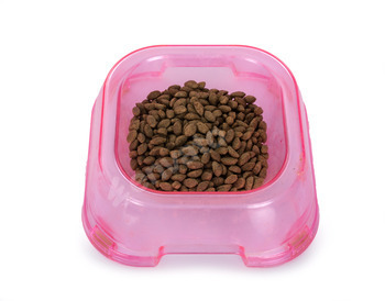 dog food in bowl