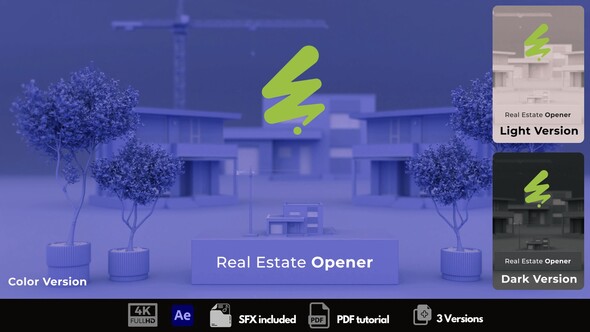 Real Estate Opener