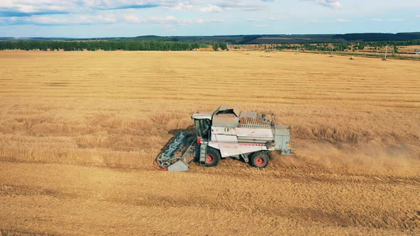 Field Is Getting Harvested By a Crop-collecting Machine