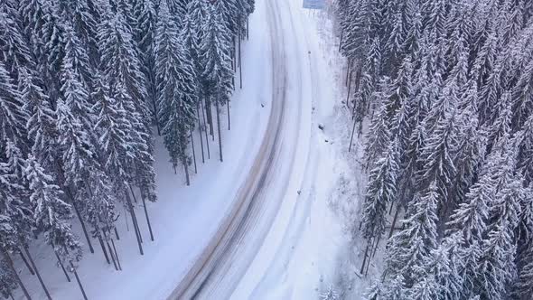 Aerial Flight Over Winter Forest with Road