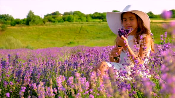 Child Girl in Flowers Lavender Field