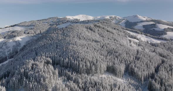 Drone Over Forests On Kitzsteinhorn Mountain