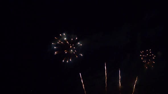 14 07 Colorful Firework display at night on sky background alt