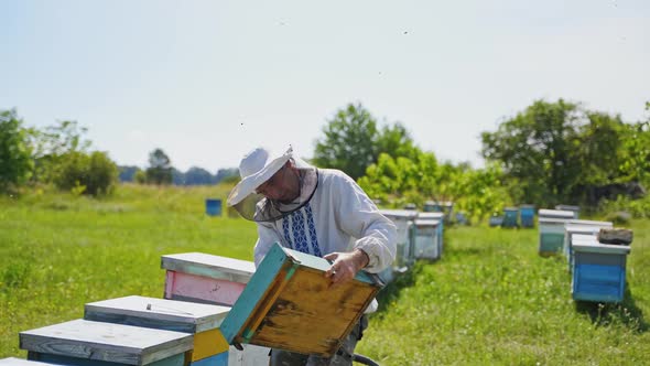 Apiarist with wooden box on a bee farm