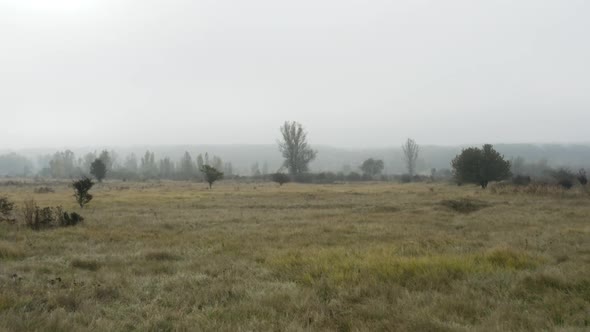 Grassy moorland and woodland in an autumn foggy countryside,Czechia.