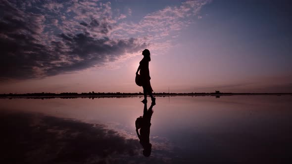 Silhouette of a Woman in a Waving Dress on a Sunset Background