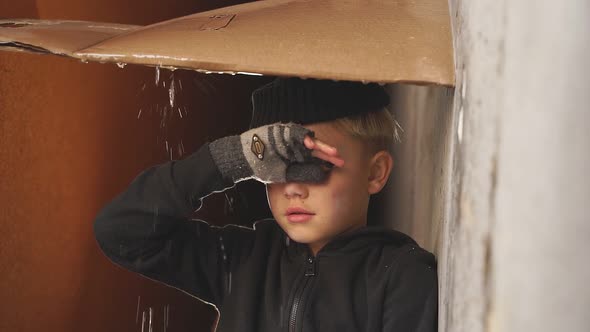 Poor Orphan Boy Shelters From the Rain Under Cardboard Crying