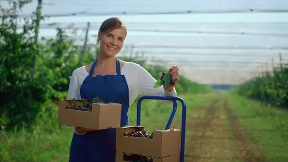 Beautiful Woman Holding Orchard Cherry Box at Modern Sunny Outdoors Green House