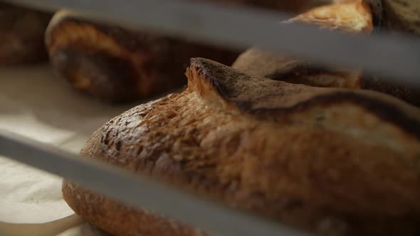 Fresh Bread Closeup