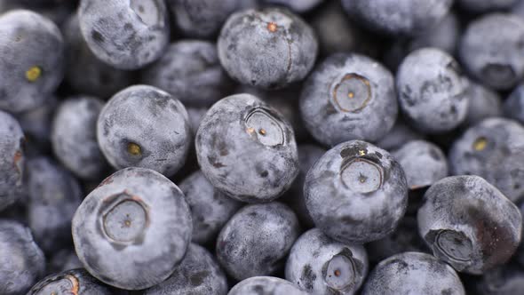 blueberry berries closeup background for cooking fruits summer