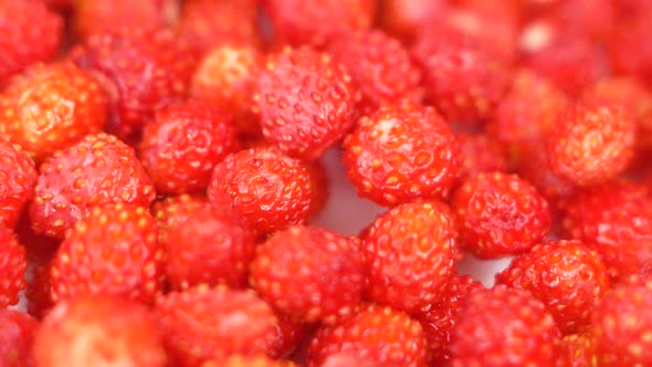 Forest ripe harvested strawberry close-up rotates. Red strawberries on a plate rotat