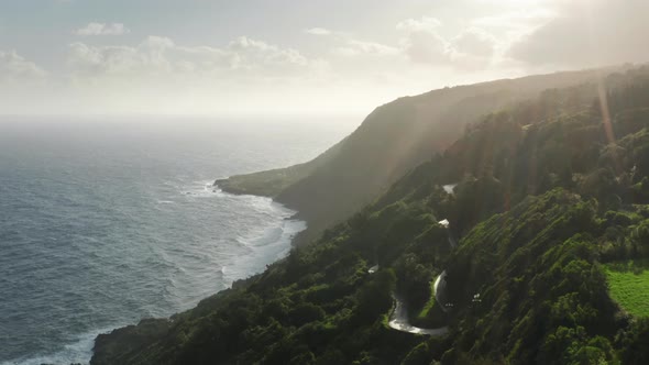 Tees Growing on Hills of Mountains at Sao Jorge Island Azores Portugal