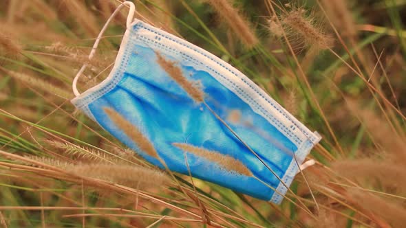A used surgical mask discarded among the grasses