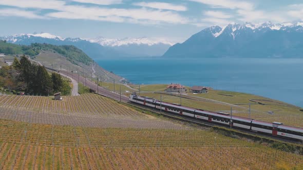 Swiss Train Moves Along a Scenic Railway on a Hillside Near Lake Geneva Against of Alps, Switzerland