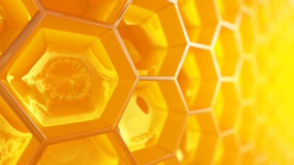 A fragment of the honeycomb with full cells closeup animation. Loopable. HD