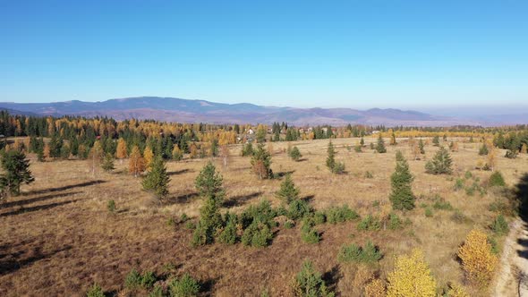 Flying Above Rural Countryside Landscape. Homestead and Village in the Autumn