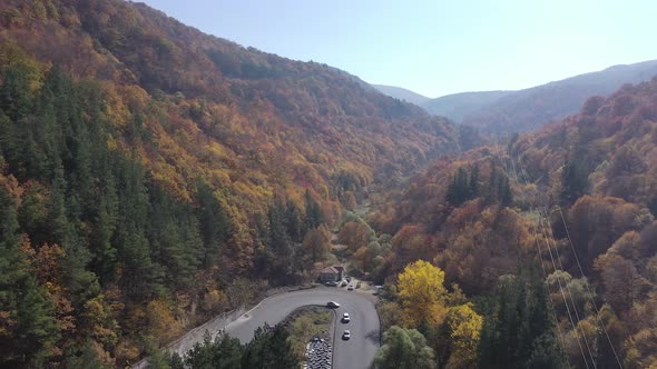 Armenia Forest Mountain Highway 11