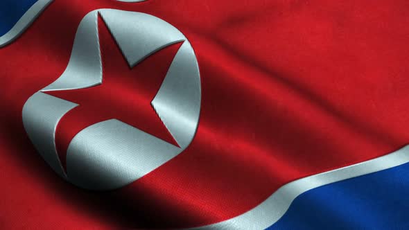 Highly Detailed Flag Of North Korea