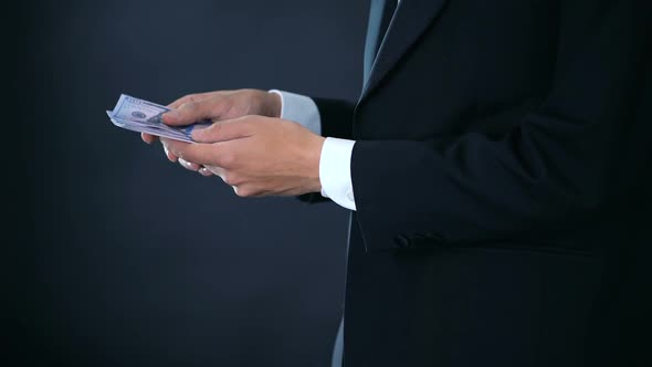 Businessman Counting Dollar Bills in Hands, Company Profit, Investment Earnings