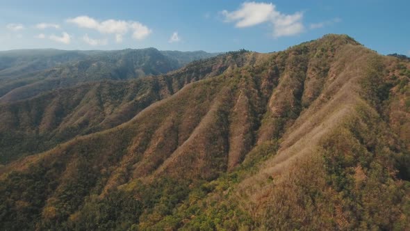 View of Mountain Forest Landscape