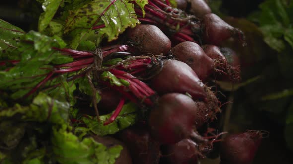 Beetroot on organic farm