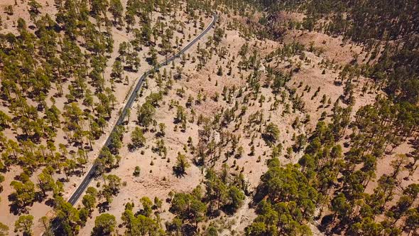 Top View of the Road with Cars in the Teide National Park