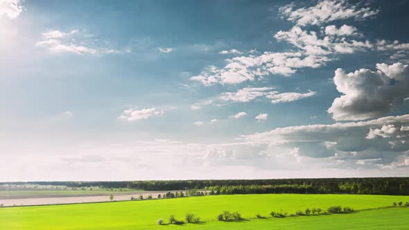 Countryside Rural Field Landscape With Young Wheat Sprouts In Spring Summer Cloudy Day