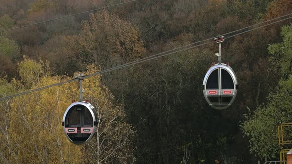 Modern Cable Car Cabins Walk Among the Forest.