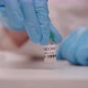 Doctor Hands in Nitrle Gloves Puts Pair Bottles of Vaccine Covid19 on Table - VideoHive Item for Sale