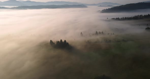 Fog In The Mountains Covers The Entire Surface. Carpathians