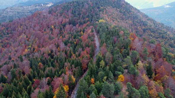 Aerial view of mountains and colorful trees