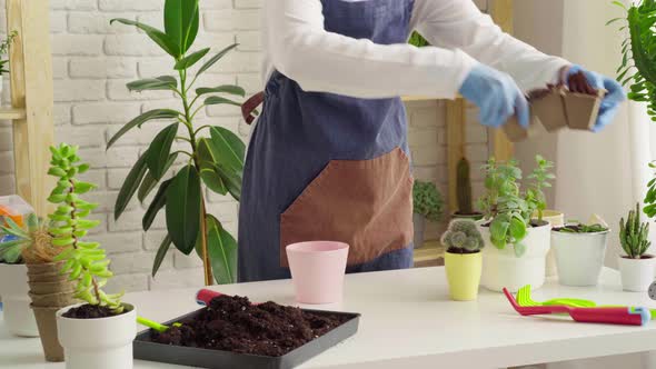 Woman in Gloves and Apron Potting House Plant Close Up