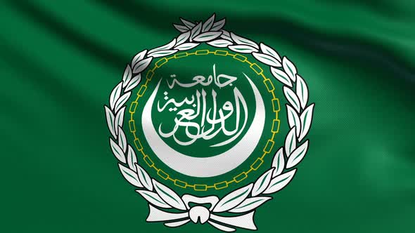 League Of Arab States Flag