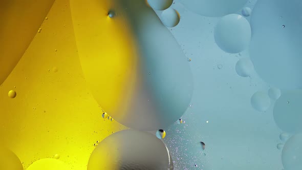 Macro Structure of Colorful Oil Bubbles. Chaotic Motion. Abstract Multicolored Background. Pattern