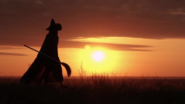 Sorceress with Besom Walking the Rays of the Sun Shine Through the Cloak