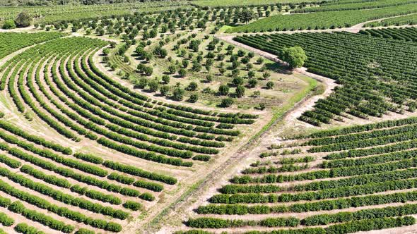 Countryside scenic aerial landscape. Rural life scenery.