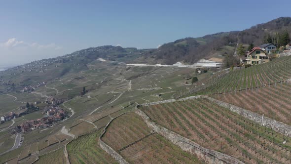 Aerial of large vineyards on mountain slope