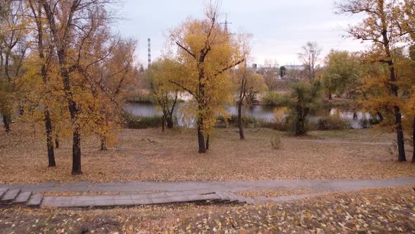 Autumn Park Aerial View