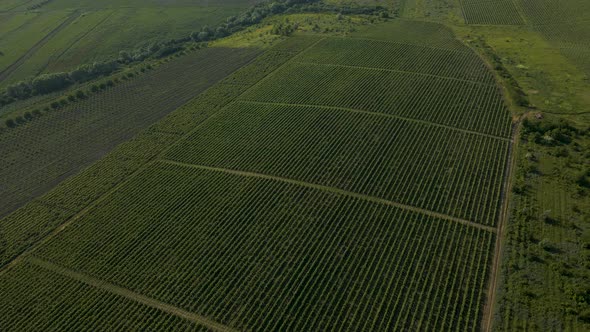 Italian Countryside Beautiful Farms and Vineyards Beautiful Aerial View